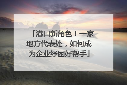 港口新角色！一家地方代表处，如何成为企业纾困好帮手