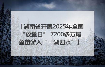 湖南省开展2025年全国“放鱼日” 7200多万尾鱼苗游入“一湖四水”