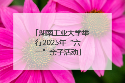 湖南工业大学举行2025年“六一”亲子活动