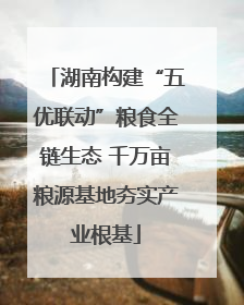 湖南构建“五优联动”粮食全链生态 千万亩粮源基地夯实产业根基