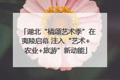 湖北“橘颂艺术季”在夷陵启幕 注入“艺术+农业+旅游”新动能