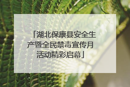 湖北保康县安全生产暨全民禁毒宣传月活动精彩启幕