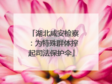 湖北咸安检察：为特殊群体撑起司法保护伞