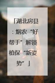 湖北房县：烟农“好帮手”解锁植保“新姿势”