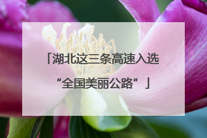 湖北这三条高速入选“全国美丽公路”
