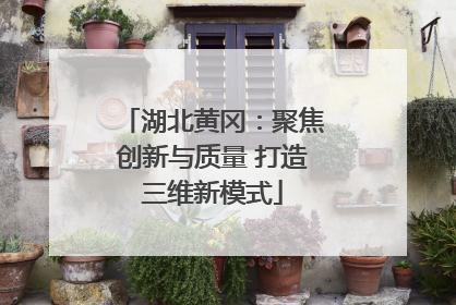 湖北黄冈：聚焦创新与质量 打造三维新模式