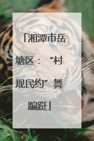 湘潭市岳塘区：“村规民约”舞蹁跹