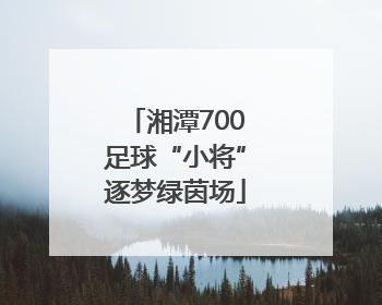 湘潭700足球“小将”逐梦绿茵场