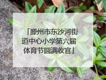 滕州市东沙河街道中心小学第六届体育节圆满收官