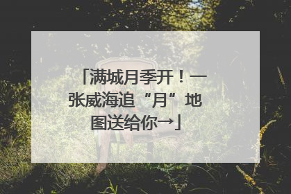满城月季开！一张威海追“月”地图送给你→