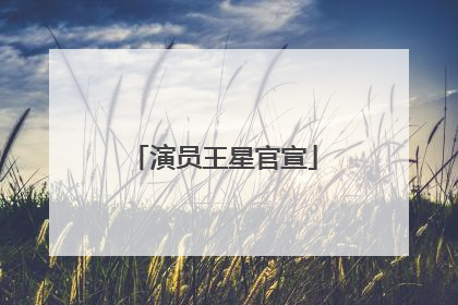 演员王星官宣