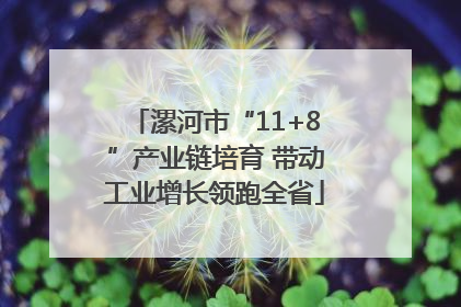 漯河市“11+8”产业链培育 带动工业增长领跑全省