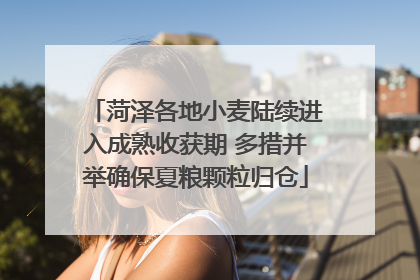 菏泽各地小麦陆续进入成熟收获期 多措并举确保夏粮颗粒归仓