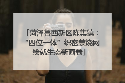 菏泽鲁西新区陈集镇：“四位一体”织密禁烧网 绘就生态新画卷