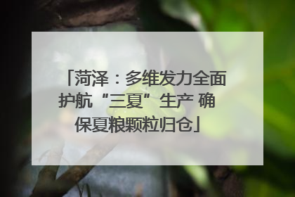 菏泽：多维发力全面护航“三夏”生产 确保夏粮颗粒归仓