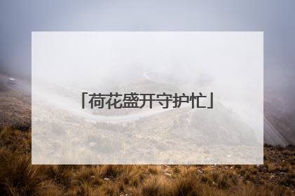 荷花盛开守护忙