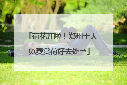 荷花开啦！郑州十大免费赏荷好去处→