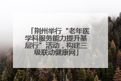 荆州举行“老年医学科服务能力提升基层行”活动，构建三级联动健康网