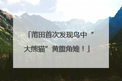 莆田首次发现鸟中“大熊猫”黄腹角雉！