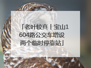 老叶较真丨宝山1604路公交车增设两个临时停靠站