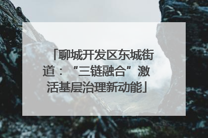 聊城开发区东城街道：“三链融合”激活基层治理新动能