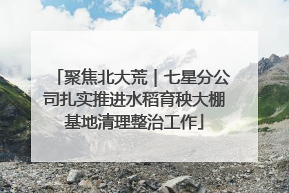 聚焦北大荒｜七星分公司扎实推进水稻育秧大棚基地清理整治工作