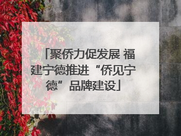 聚侨力促发展 福建宁德推进“侨见宁德”品牌建设