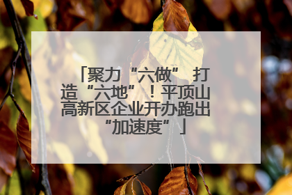 聚力“六做” 打造“六地”！平顶山高新区企业开办跑出“加速度”