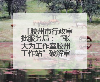 胶州市行政审批服务局：“张大为工作室胶州工作站”破解审批堵点