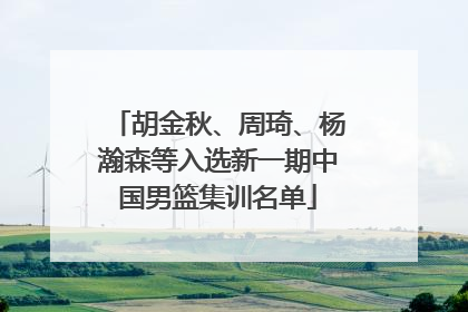 胡金秋、周琦、杨瀚森等入选新一期中国男篮集训名单