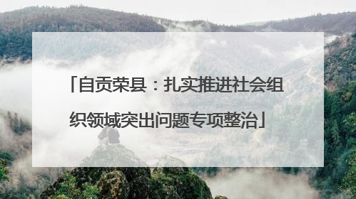 自贡荣县：扎实推进社会组织领域突出问题专项整治
