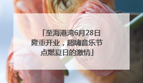 至海港湾6月28日隆重开业，超嗨音乐节点燃夏日的激情