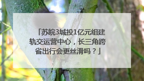 苏皖3城投1亿元组建轨交运营中心，长三角跨省出行会更丝滑吗？