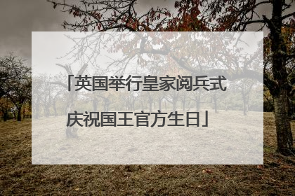 英国举行皇家阅兵式庆祝国王官方生日