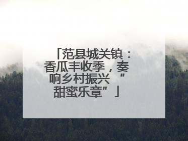 范县城关镇：香瓜丰收季，奏响乡村振兴 “甜蜜乐章”
