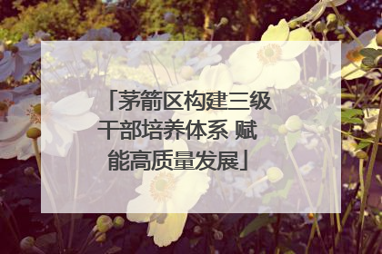 茅箭区构建三级干部培养体系 赋能高质量发展