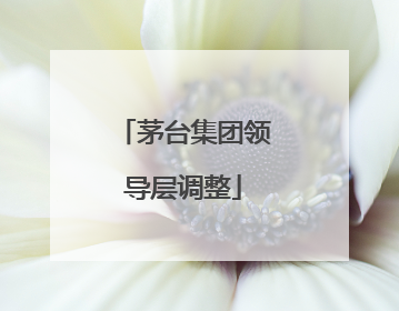 茅台集团领导层调整