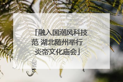 融入国潮风科技范 湖北随州举行炎帝文化庙会