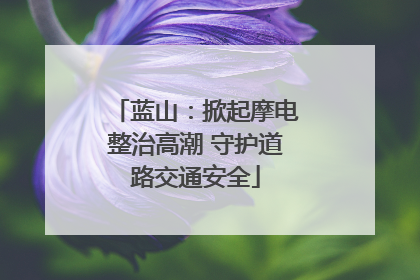 蓝山：掀起摩电整治高潮 守护道路交通安全