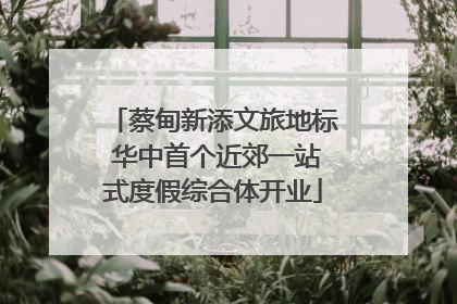 蔡甸新添文旅地标 华中首个近郊一站式度假综合体开业