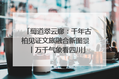 蜀道翠云廊：千年古柏见证文旅融合新图景丨万千气象看四川