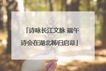 诗咏长江文脉 端午诗会在湖北秭归启幕