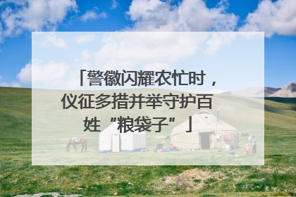 警徽闪耀农忙时，仪征多措并举守护百姓“粮袋子”
