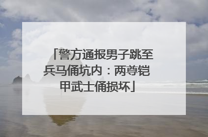 警方通报男子跳至兵马俑坑内：两尊铠甲武士俑损坏