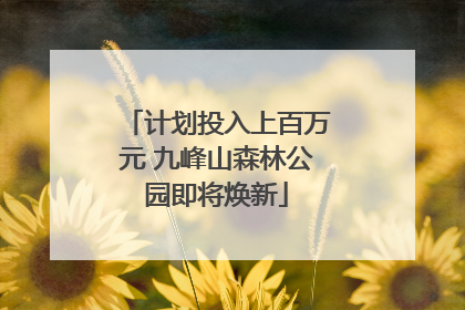 计划投入上百万元 九峰山森林公园即将焕新