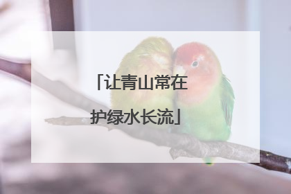 让青山常在 护绿水长流