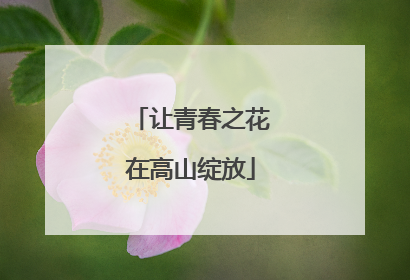 让青春之花在高山绽放