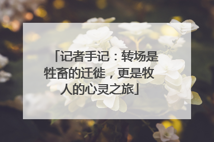 记者手记：转场是牲畜的迁徙，更是牧人的心灵之旅