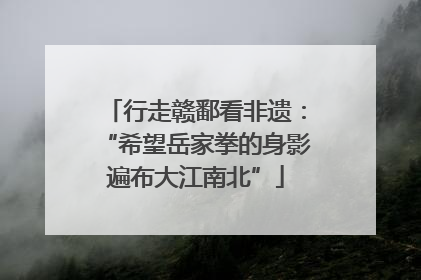 行走赣鄱看非遗：“希望岳家拳的身影遍布大江南北”