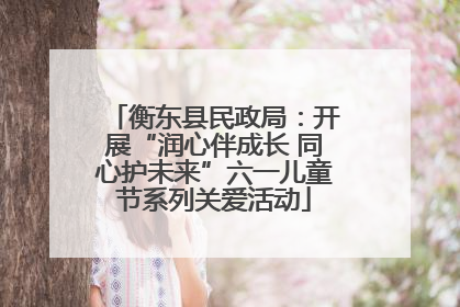 衡东县民政局：开展“润心伴成长 同心护未来”六一儿童节系列关爱活动